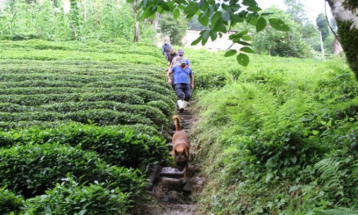 Meteorolojinin Uyarısı ve AFAD’ın Müdahalesiyle Rize ve Artvin’de Olası Can Kayıplarının Önüne Geçildi